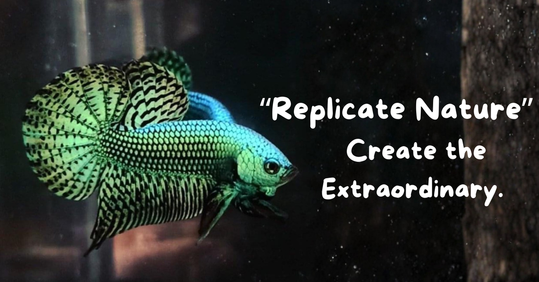 Alien Betta Aquascape Replicate Nature. Create the Extraordinary. 