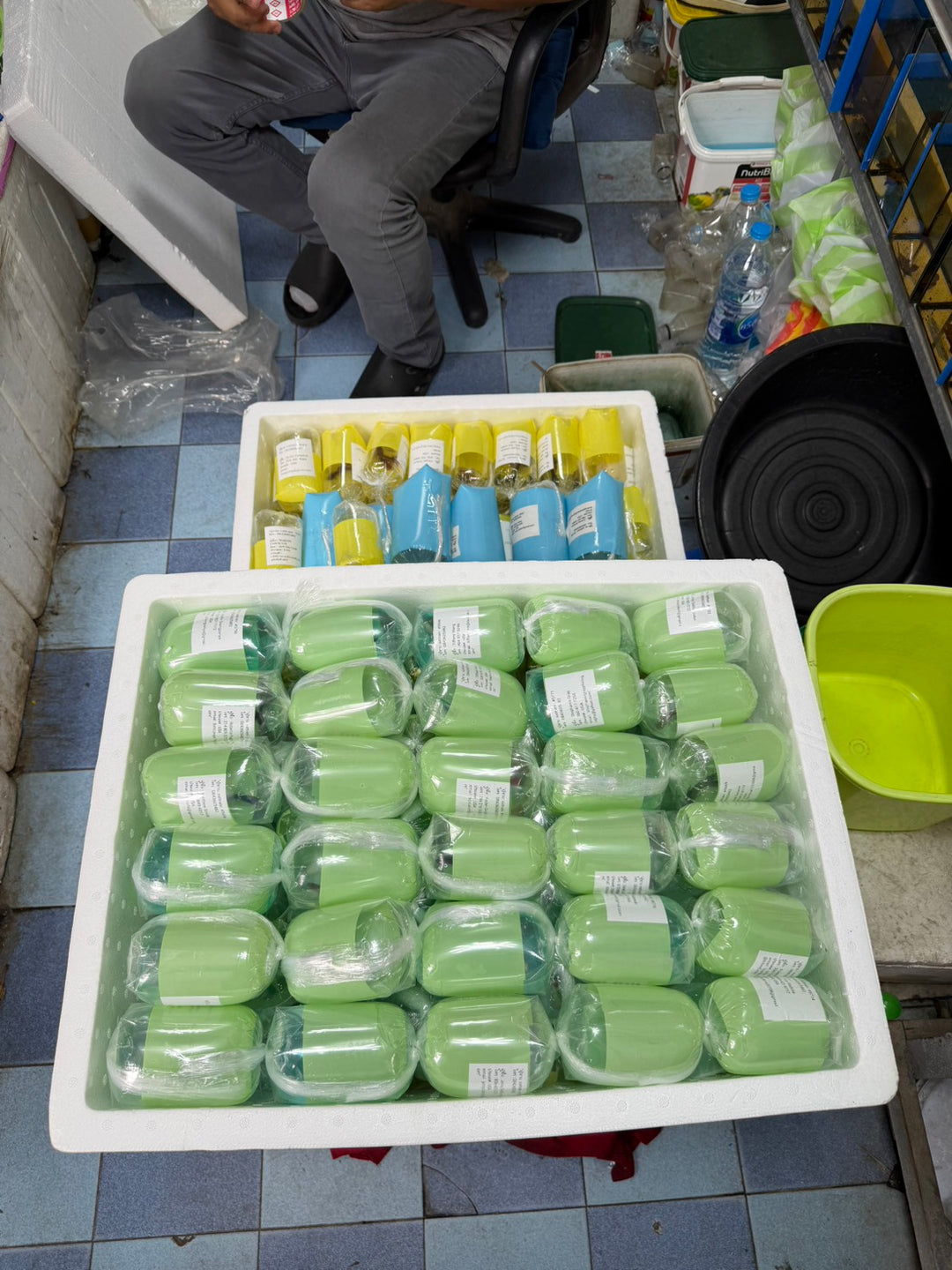 Wholesale