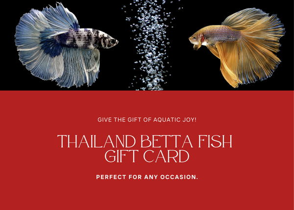 Thailand Betta Fish eGift Card